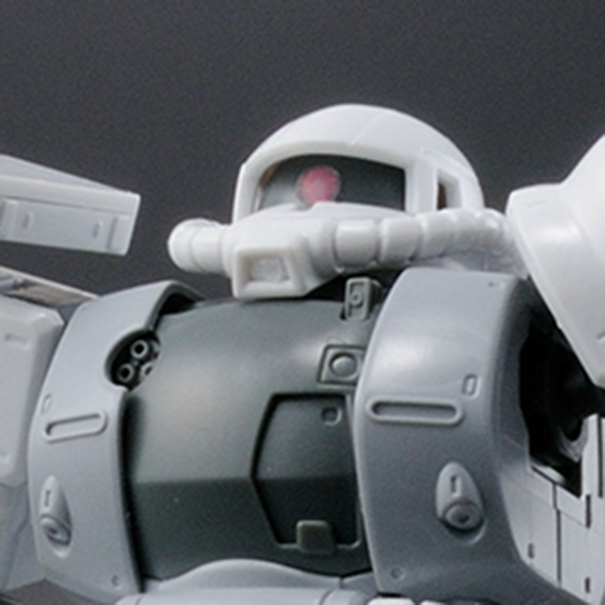 HG 1/144 ガンダムベース限定 ザクII TYPE C-6/R6 [ペインティングモデル]